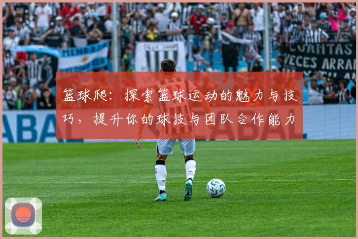 篮球爬：探索篮球运动的魅力与技巧，提升你的球技与团队合作能力