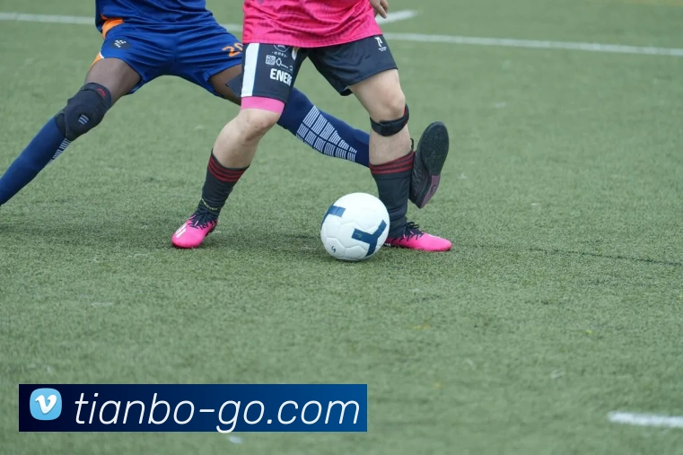 App Interface Preview